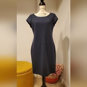 Banana Republic Blue Sheath Dress Cap Sleeve Crew Neck, Size 10.